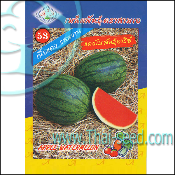 My Image 17