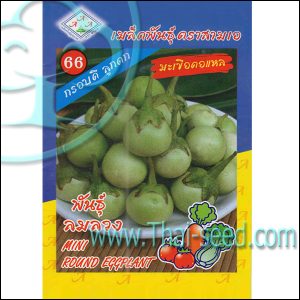 มะเขือตอแหล