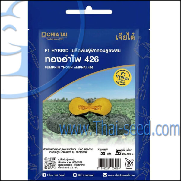 ฟักทอง ทองอำไพ426