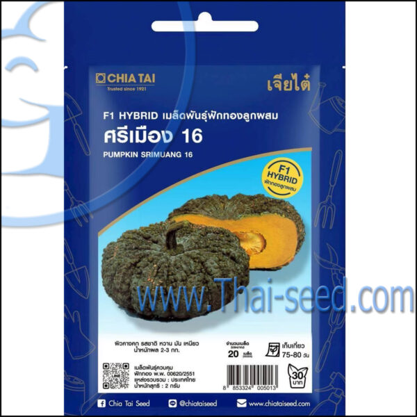 ฟักทองสีเมือง16