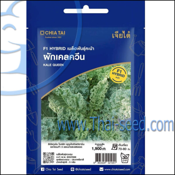 ผักเคล ควีน ผักเคล ควีน